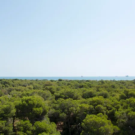 & Co. Saler Boutique 3*