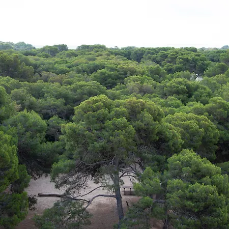 & Co. Saler Boutique Valência