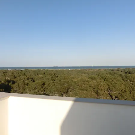 & Co. Saler Boutique 3* Valência